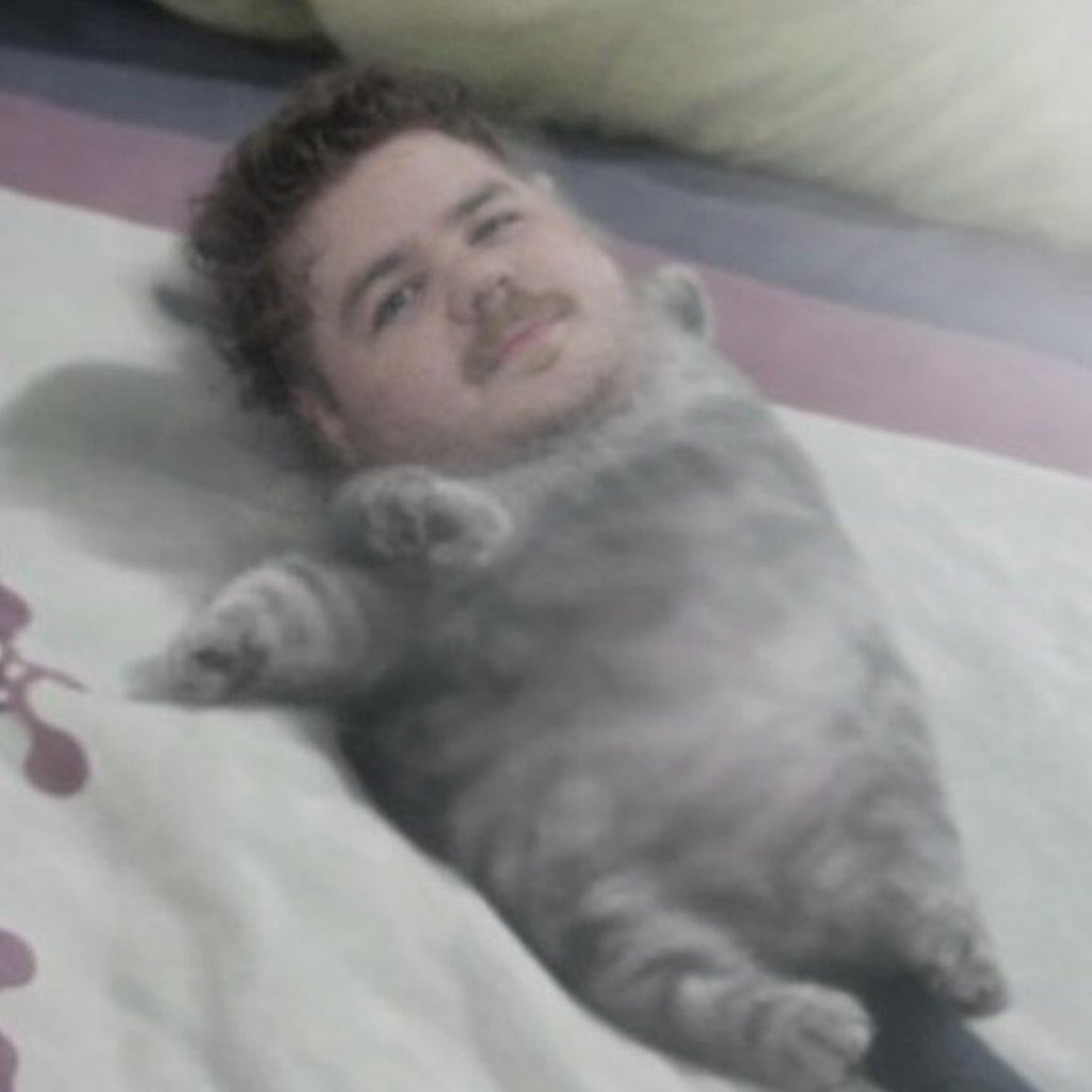 The Duve tweet media