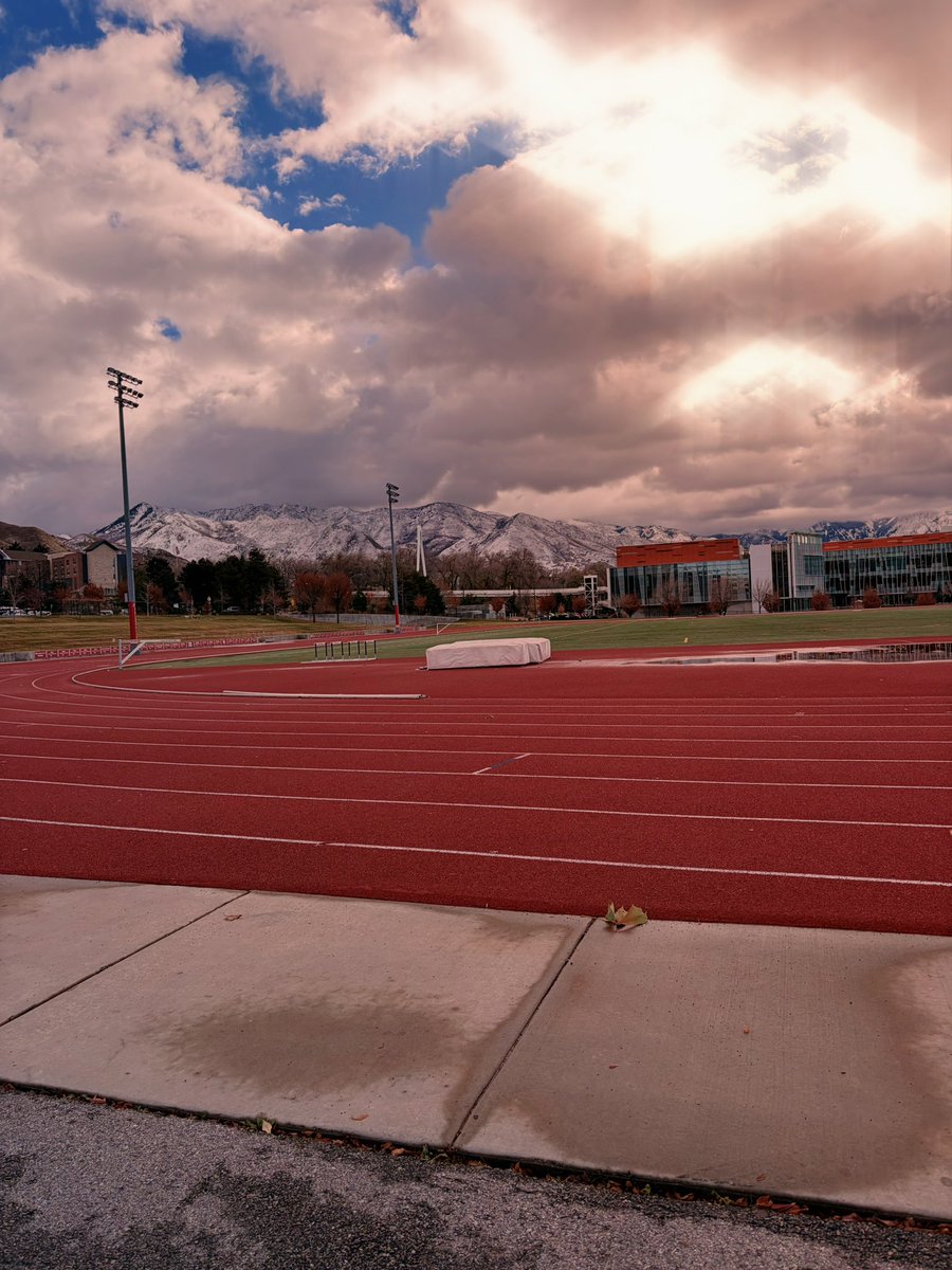 Celia McCoy tweet media