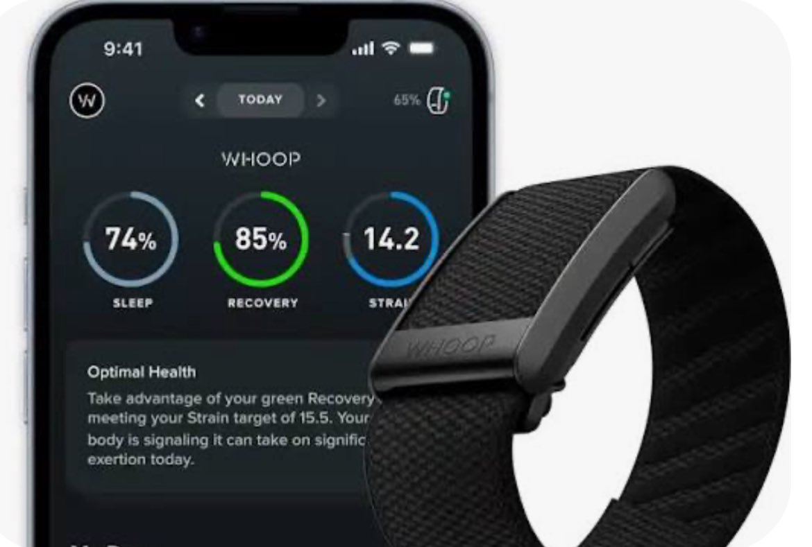 Maurizio tweet media