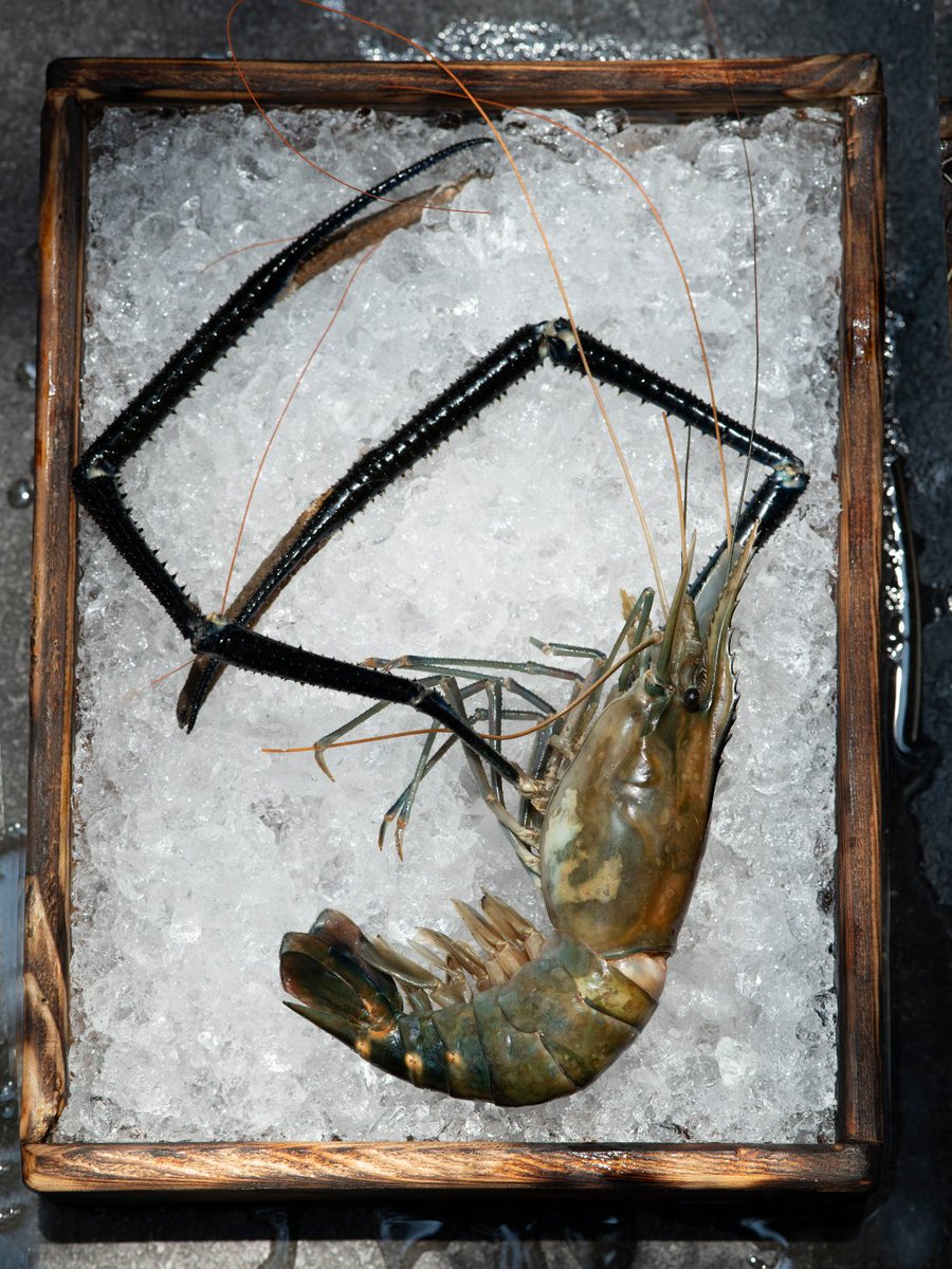 En cada bocado de pescado fresco hay una historia de paciencia, técnica y amor por la cocina de mar.

🏺 Nostos Lomas 
Monte Athos 415, Lomas de Chapultepec
📲: 55 8438 1350

🧿 Nostos Artz Pedregal
Artz Pedregal, planta baja
📲: 55 5206 8115