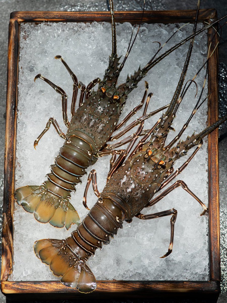 El mar te regala lo mejor cuando lo cuidas.
Por eso apoyamos prácticas responsables que mantienen viva la tradición… y el ecosistema.

🏺 Nostos Lomas 
Monte Athos 415, Lomas de Chapultepec
📲: 55 8438 1350

🧿 Nostos Artz Pedregal
Artz Pedregal, planta baja
📲: 55 5206 8115