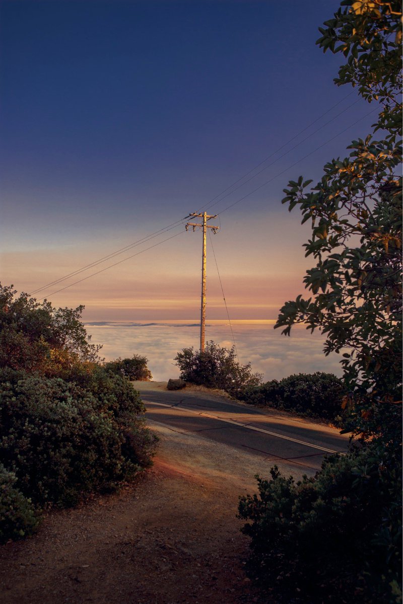 Castlesystems tweet media