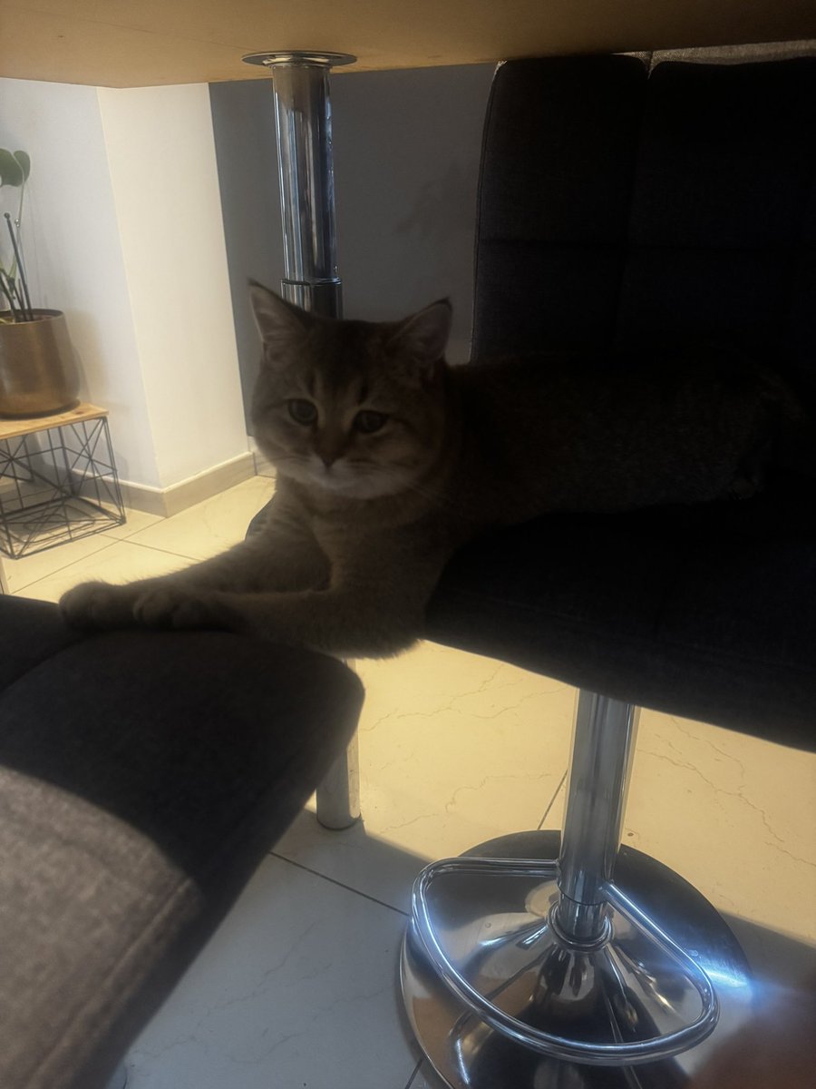 Alaedddine_'s tweet image. 