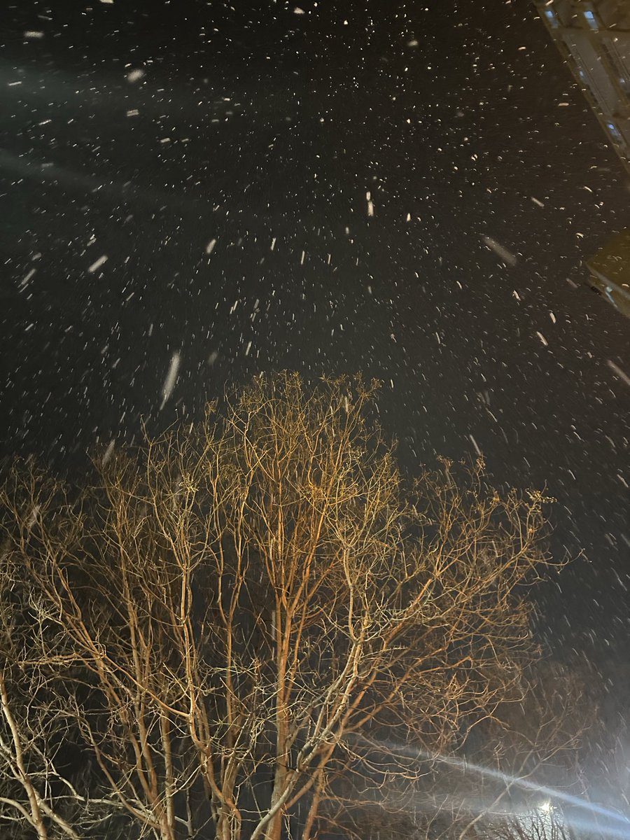 SRAB 👷🏼‍♂️🇸🇦 tweet media