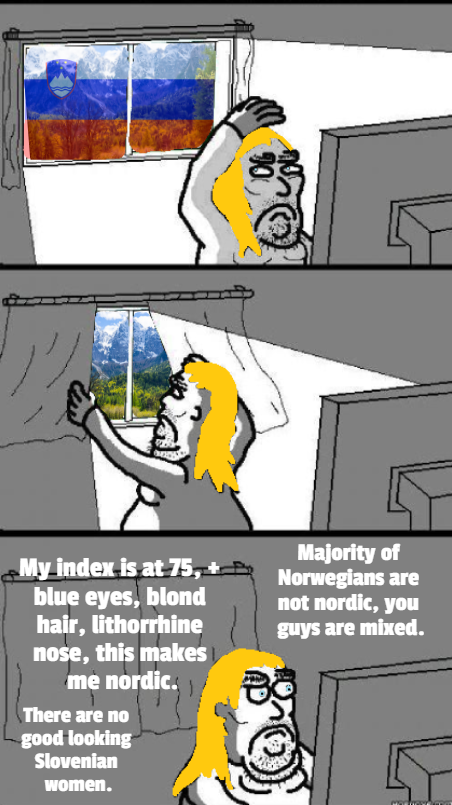 _kolva's tweet image. A meme I made based on an interaction I had with a nordicist slovenian here in 2023. 
He dreamt of immigrating and finding a swedish blonde wife and save his bloodline, the Swedes being the only people he regarded as being pure nordic compared to the blackamoor Norwegians.