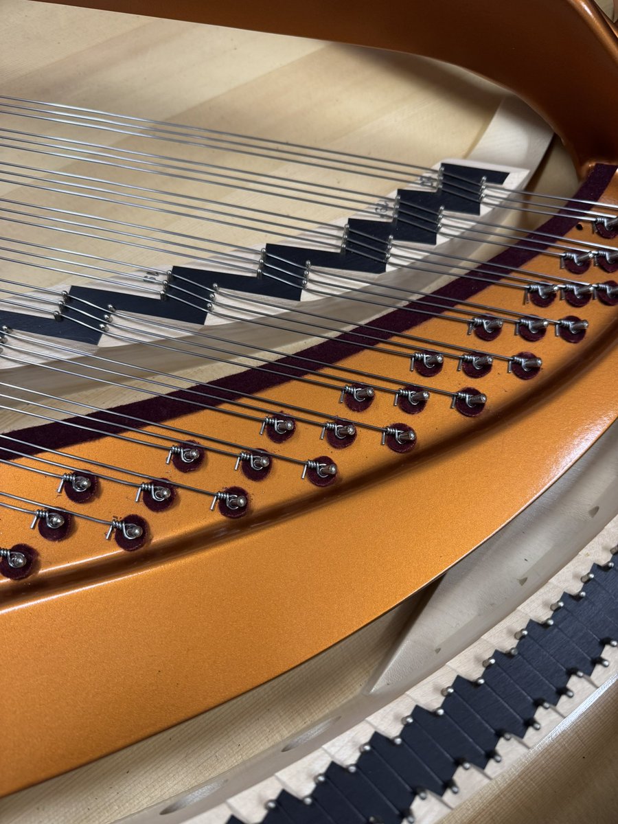 Els pianos amb cordes individuals a les tríades aguanten millor l’afinació, però quan has d’encordar quedes fins al monyo de fer bagues..
#Bösendorfer