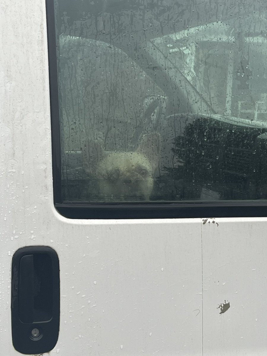 zipoffs's tweet image. 