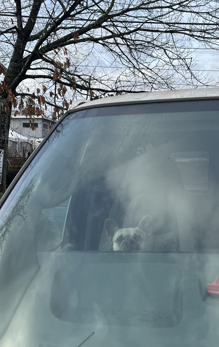 zipoffs's tweet image. 