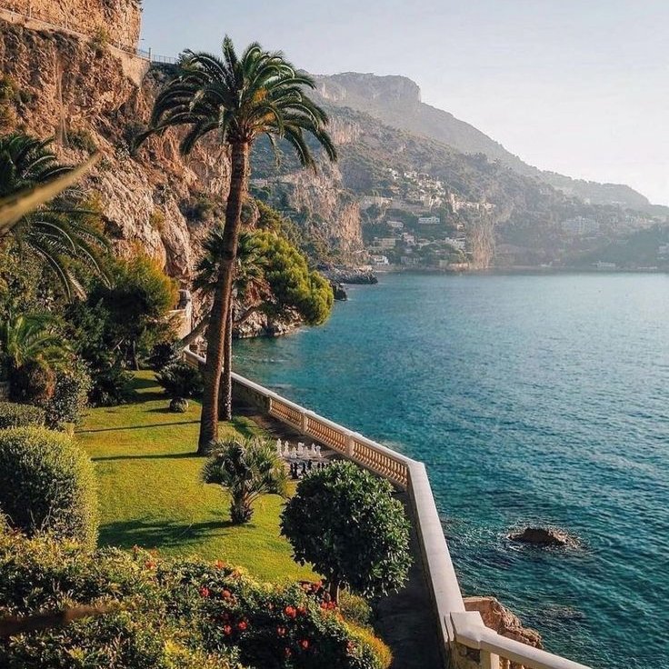 BasedBiohacker tweet media