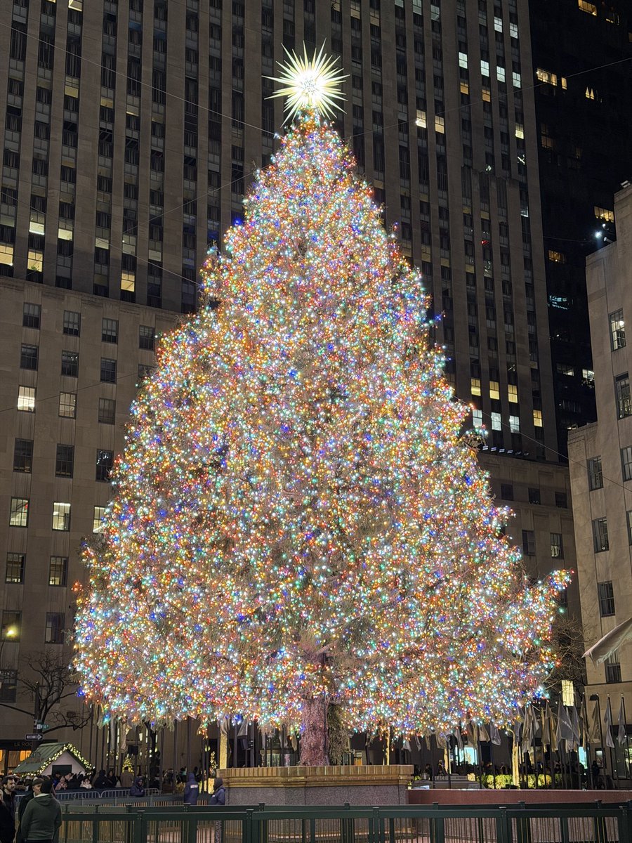 Leaonardos's tweet photo. 🎄 https://t.co/fsBLOLo5UA