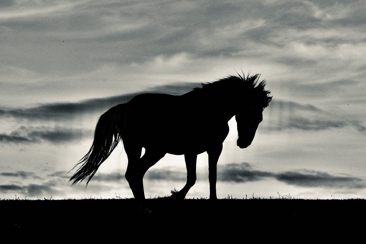 Edel Mairs tweet media