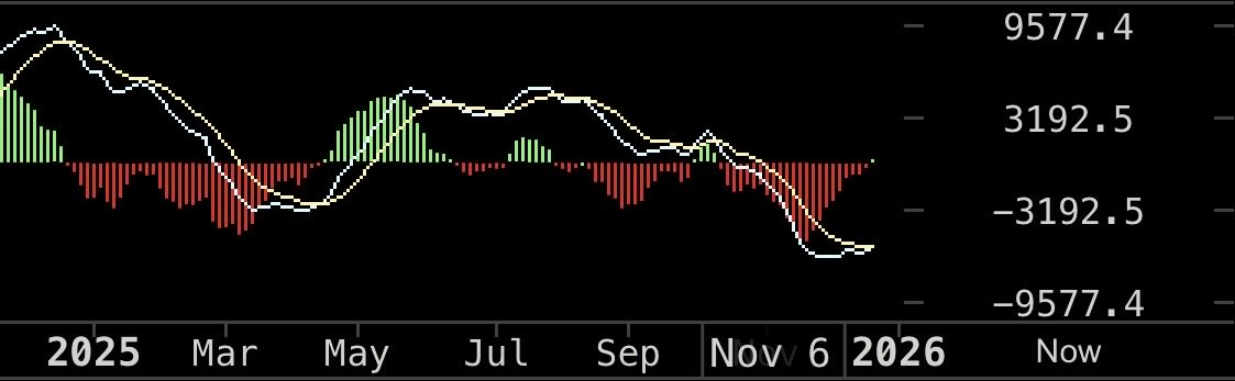 Joris Koopman tweet media