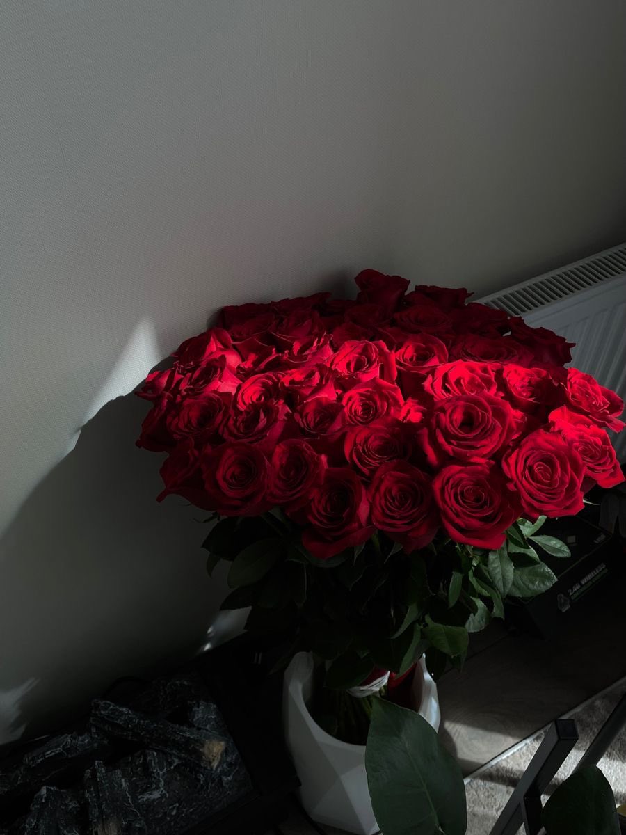Red roses