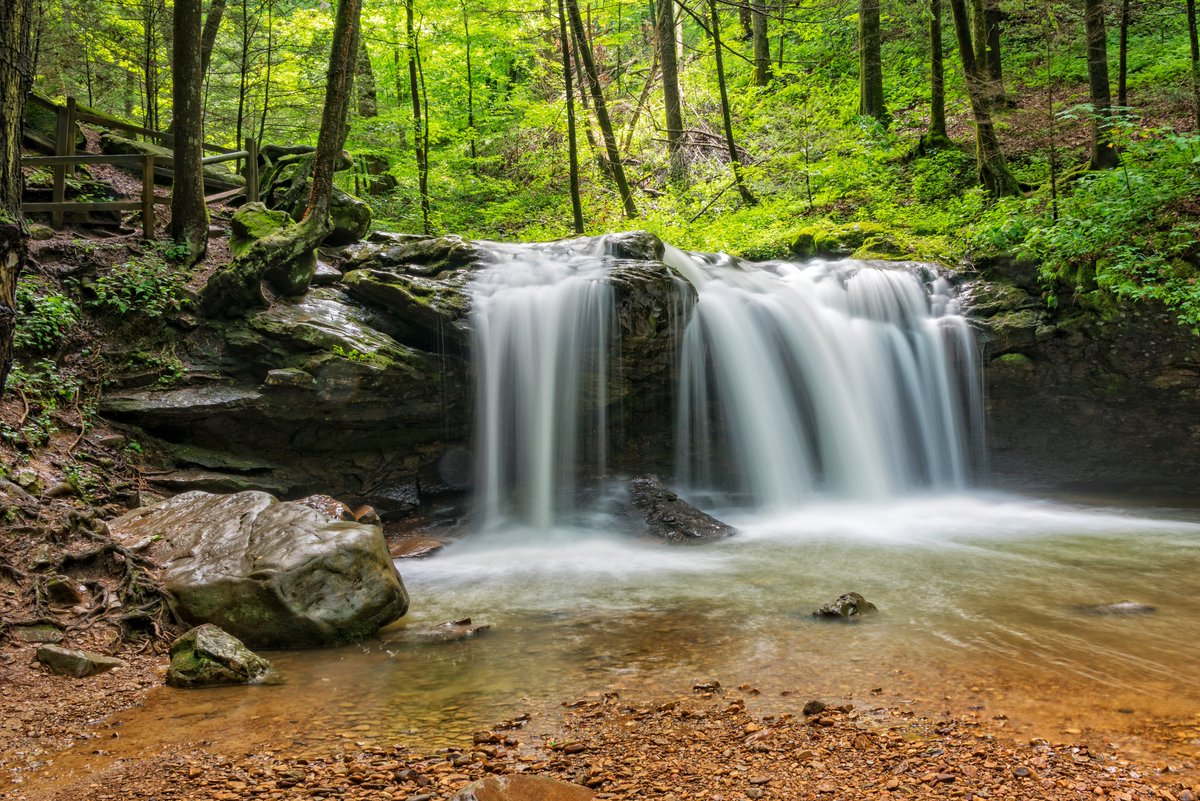 Picture yourself exploring deep gorges, marveling at a stunning waterfall, or walking through the pages of history at Historic Brushy Mountain State Penitentiary. With three state parks, a national scenic river, and a wildlife management area, Morgan County is an outdoor lover’s