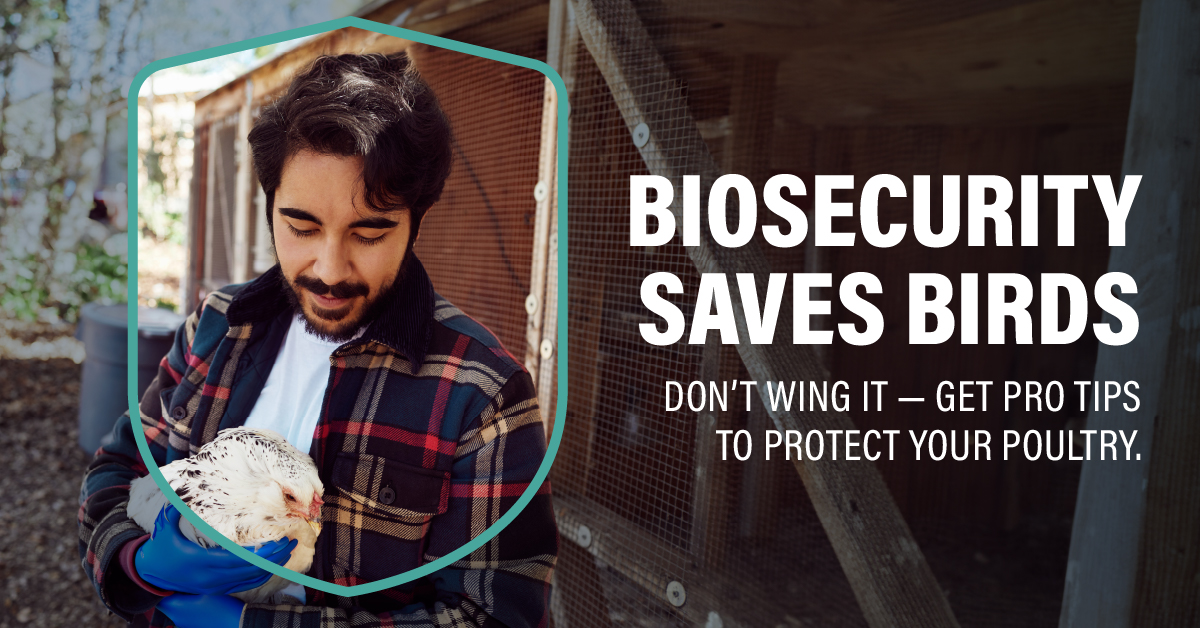 Defend the Flock tweet media