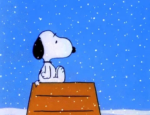 DailySnoopys's tweet photo. https://t.co/1MB46G68BU