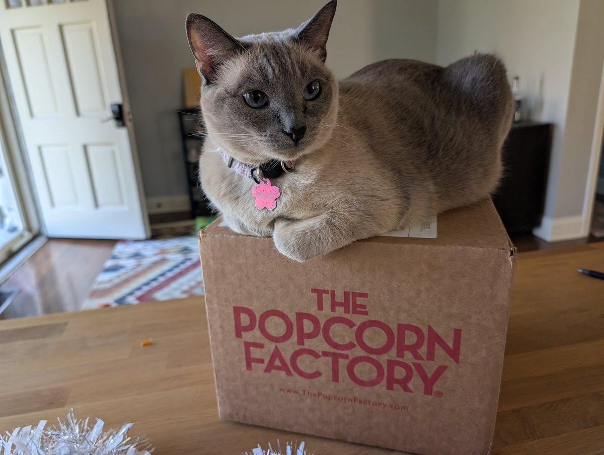 Stephen C tweet media