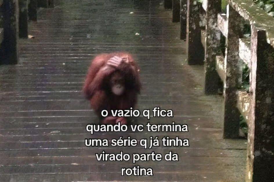 burrosgeniais's tweet image. 