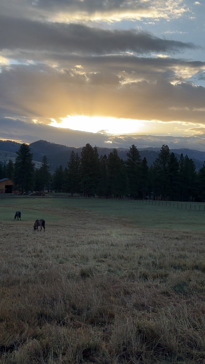 #montana #yellowstone #bigsky