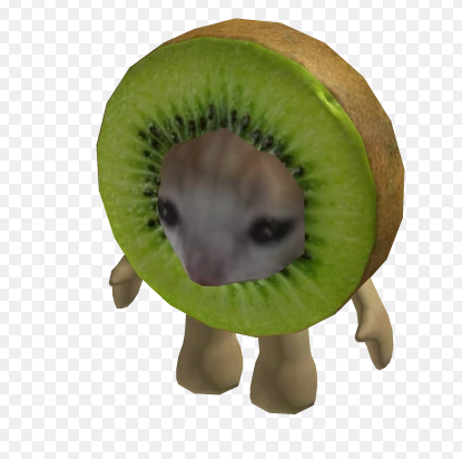 darek13524's tweet photo. first thing i see when i come back home is this kiwi cat tab which i always keep open and it makes me happy https://t.co/M1zFavtlxk