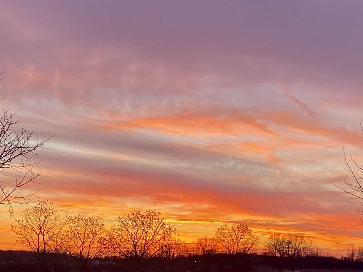 Jeff Powell🎼 tweet media