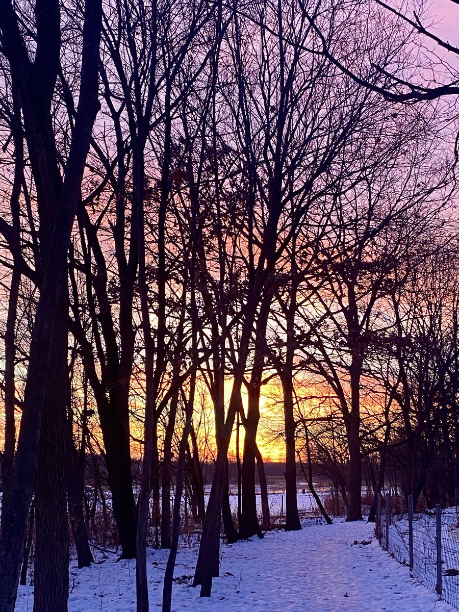 Jeff Powell🎼 tweet media