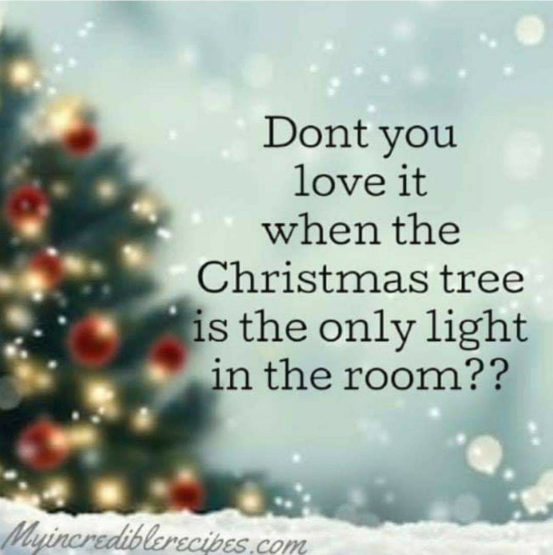 JenniferCwrites's tweet image. Just the lights from the tree make the room feel magical and cozy, don't you think? #Christmastree #Christmastreelights #lights