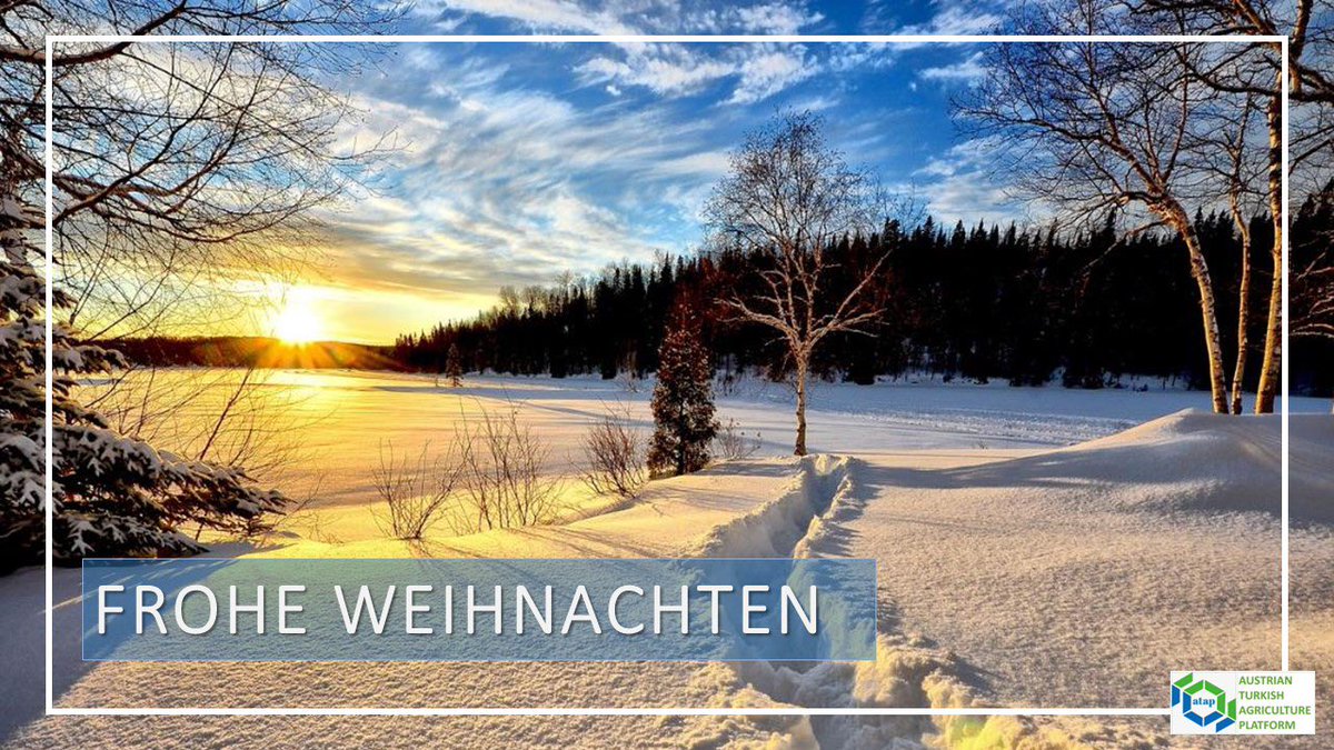 ataPlatform's tweet photo. We wish you and your loved ones a peaceful and joyful Christmas season, restful days of celebration, and a wonderful start to a healthy, happy, and prosperous New Year 2026. 🎄✨🎁 https://t.co/9rPEVEEjNL