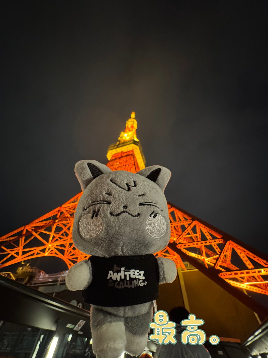 VRからの✨イルミネーション楽しい1日だった。東京タワー🗼はやっぱりテンション上がる⤴︎⤴︎👍今日初めてお出かけサンドギちゃん楽しかったね🤗