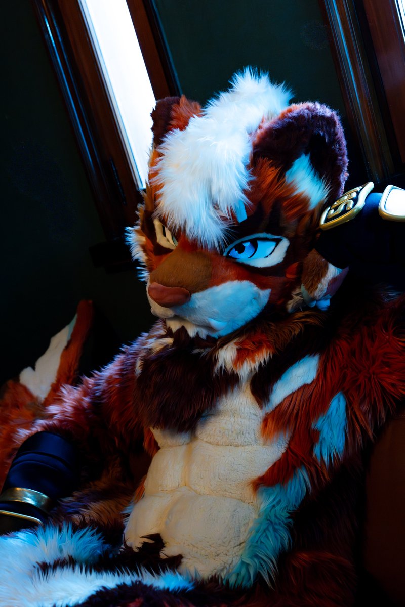 생각이 많아지는 계절이네…❄️
그럴 땐 잠시 멈춰 서서,
네 마음이 지금 어디를 향하고 있는지 확인하는 거야.

考えごとが増える季節だな……❄️
そんな時は、少し立ち止まって、
今、自分の心がどこへ向かっているのかを確かめるんだ。
#FursuitEveryday #fursuit