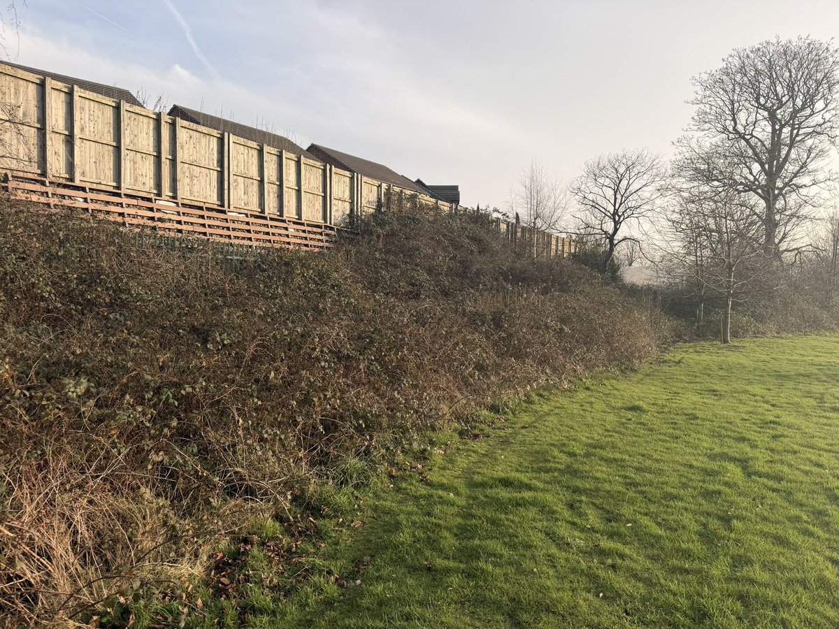 NW Pitch Maintenance tweet media