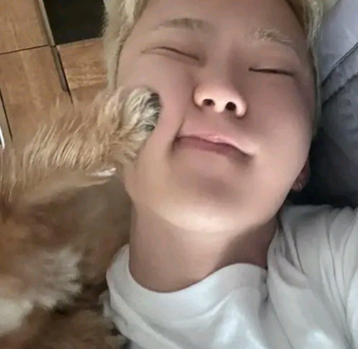 cheolhanglazer's tweet image. 🚬