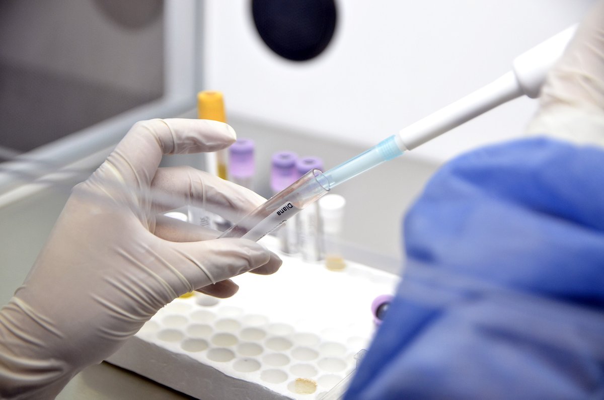 ❣️El Hospital Posadas se consolida como centro de referencia nacional para detectar grupos sanguíneos poco frecuentes, que son esenciales para salvar vidas 👉 argentina.gob.ar/noticias/el-ho… 

💪Un orgullo nuestro equipo de Hemoterapia.