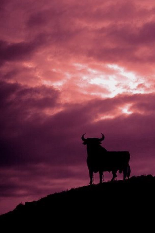BrunoCorreaL's tweet photo. *Disfrutar de lo simple!*

Así para lidiar al toro de la vida…. https://t.co/gqi9jja5Q6