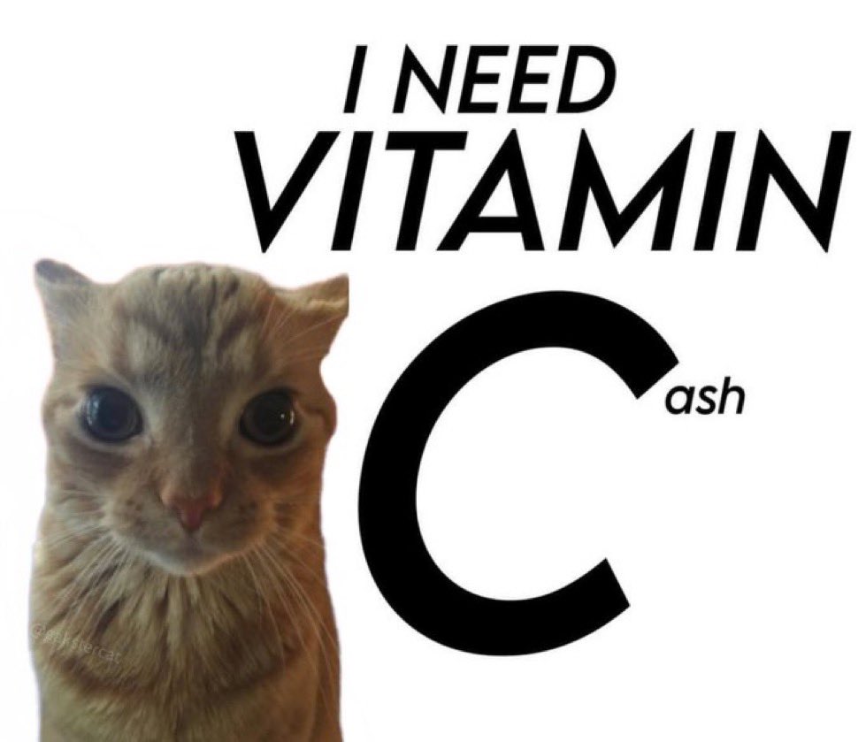 gakstercat's tweet image. 