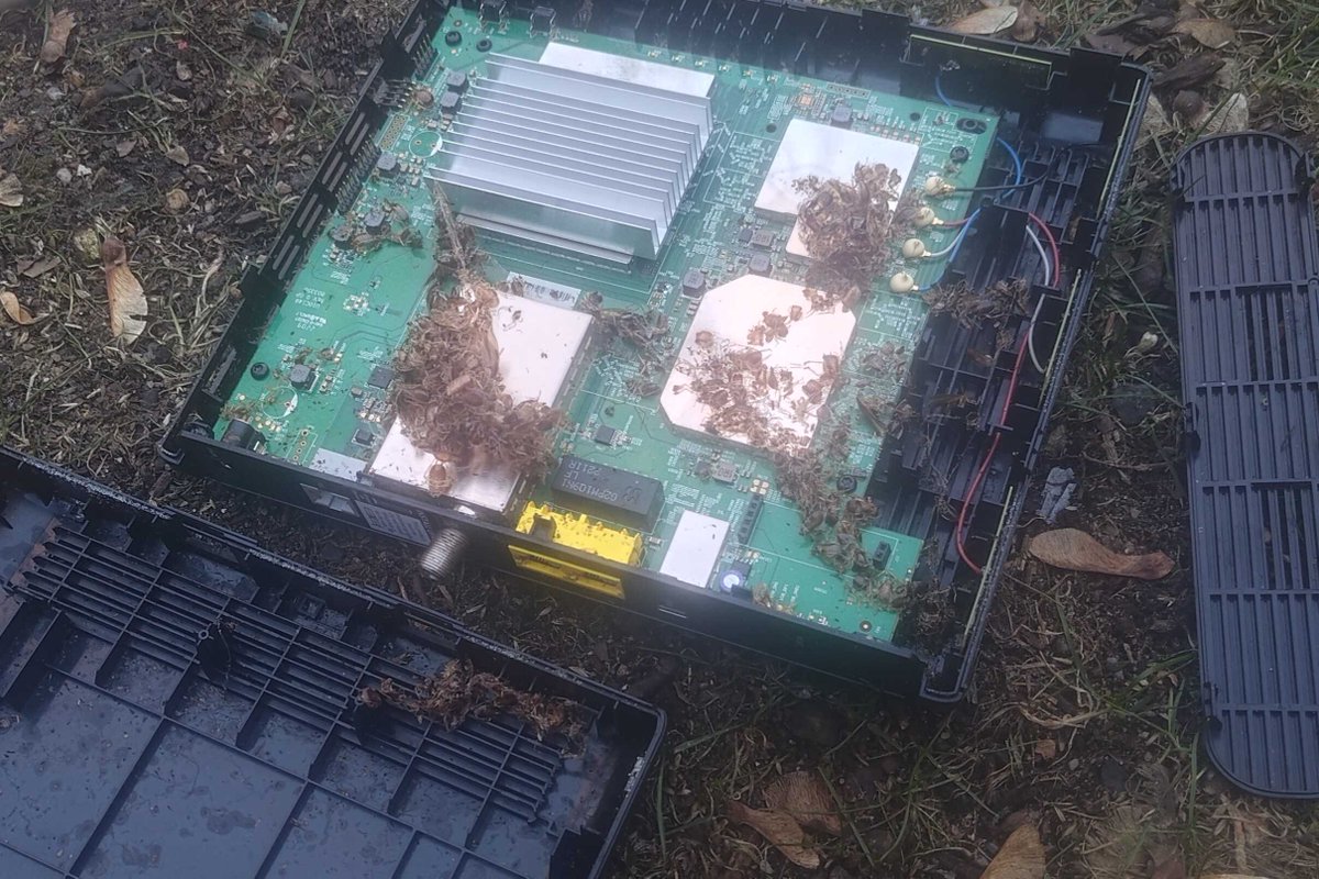 Jonathan Corbett 🇺🇦 🇺🇸 tweet media