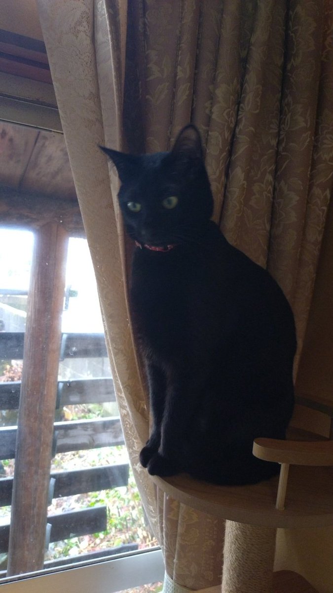 ロケットミサイル兵 tweet media