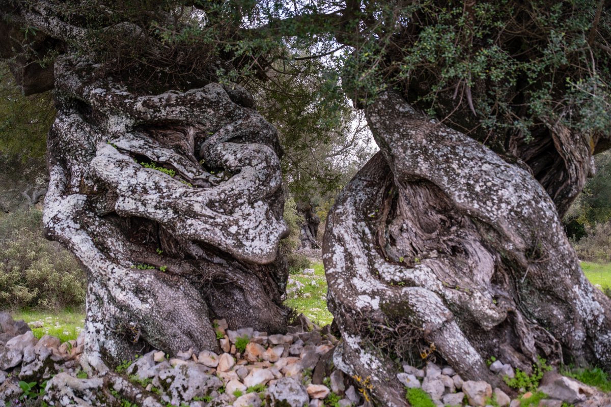 Stuart Litoff tweet media