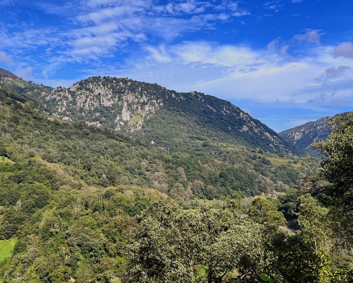 Dmitry Schigel tweet media