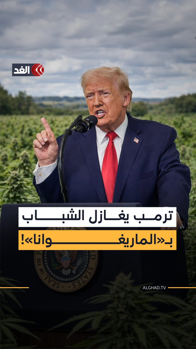 ترمب يخفف القيود.. هل دخلت «الماريغوانا» اللعبة السياسية؟ 