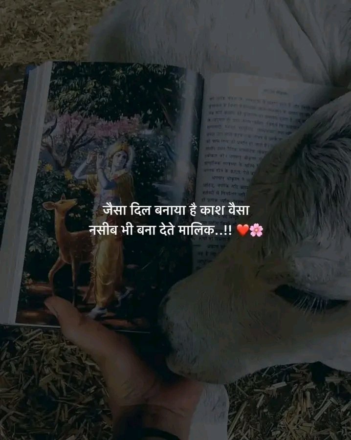 जैसा दिल बनाया है काश वैसा नसीब भी
बना देते मालिक,