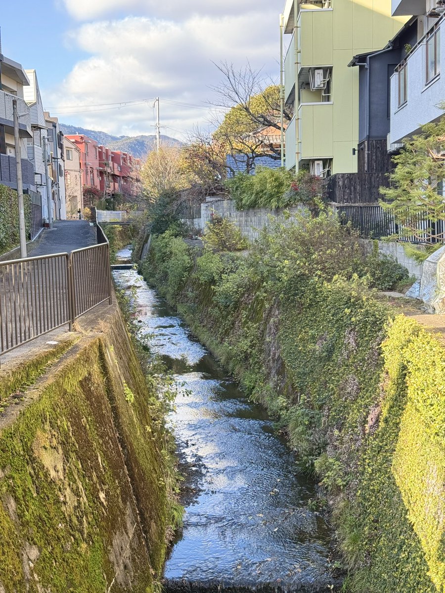 Japan was one of the biggest highlights of my life
I’ve never been so active or energetic before this trip and coming back to the States makes you really see what you value and miss a lot of 😭
100% will be making this a regular trip ❤️