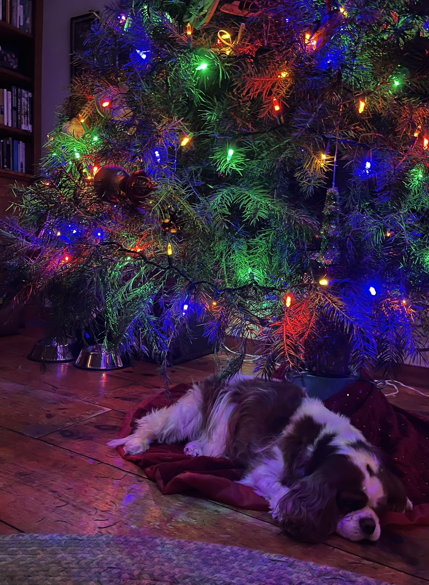 Melissa Ostrom tweet media