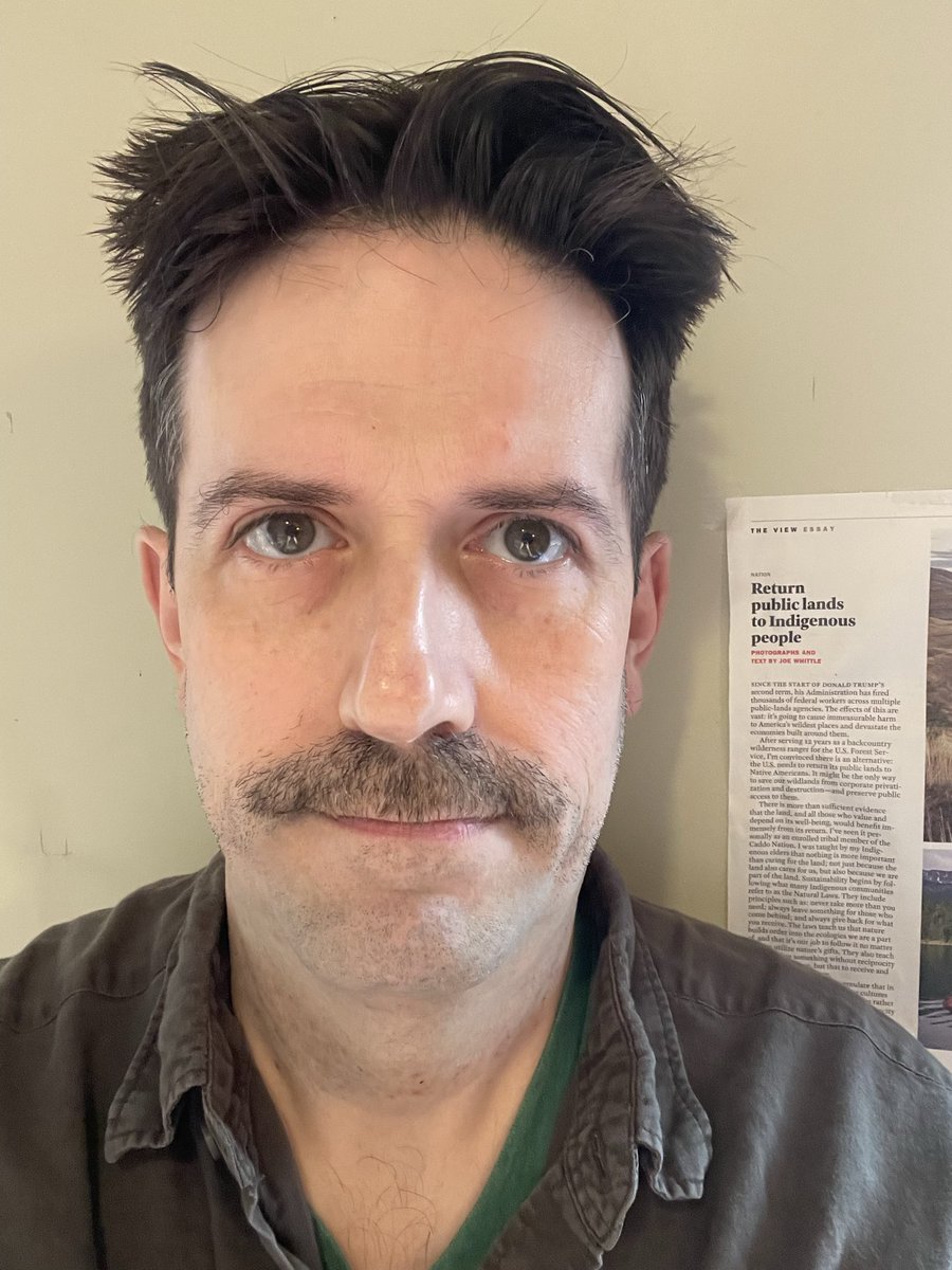 Dan tweet media