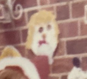AmonMainlander's tweet photo. @elonmusk @cb_doge is Trump's face being behind you on the wall a premonition? 🤔 https://t.co/oZDjnfRT6Q