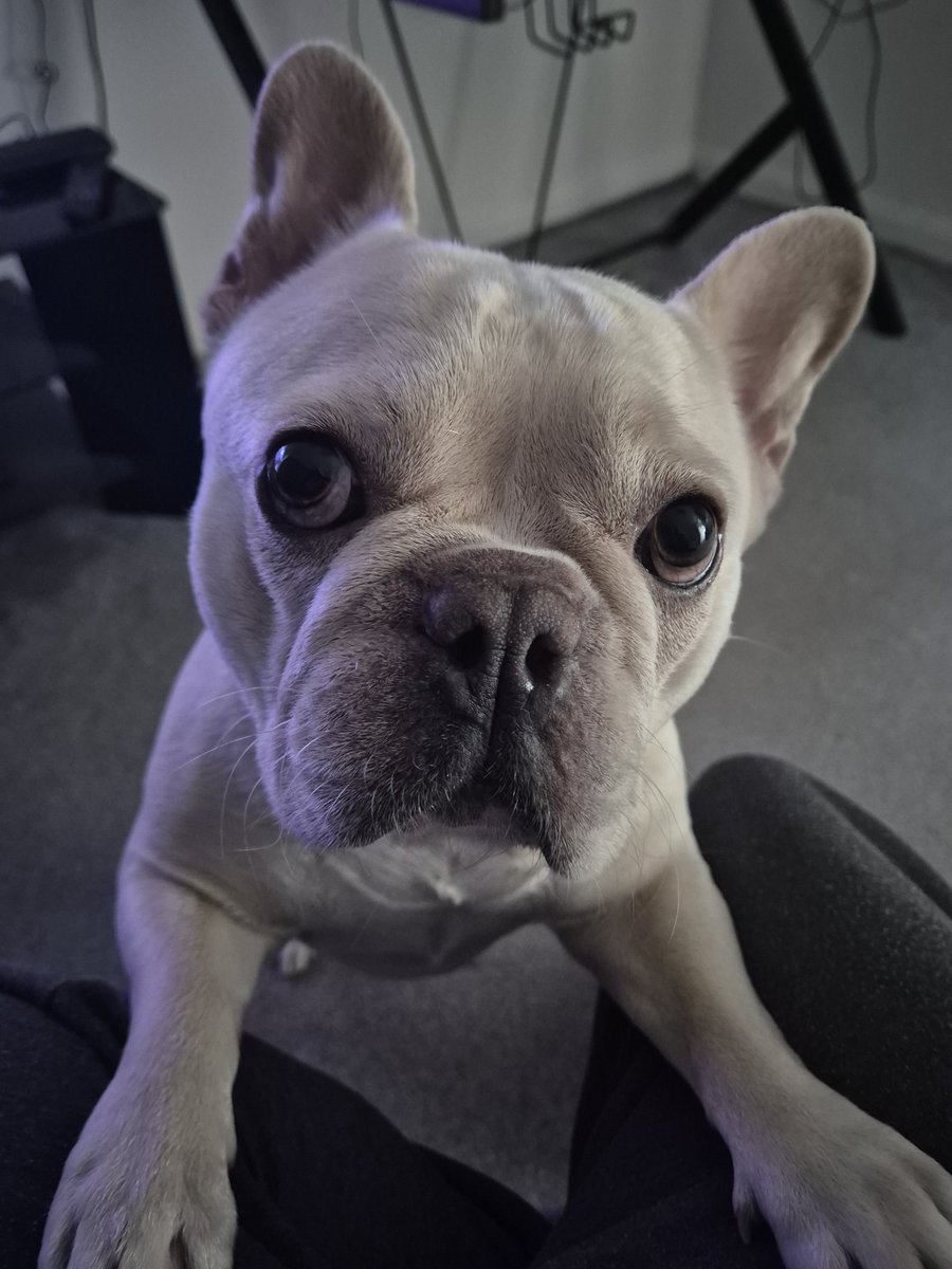 JasonLarge90's tweet image. 🙂