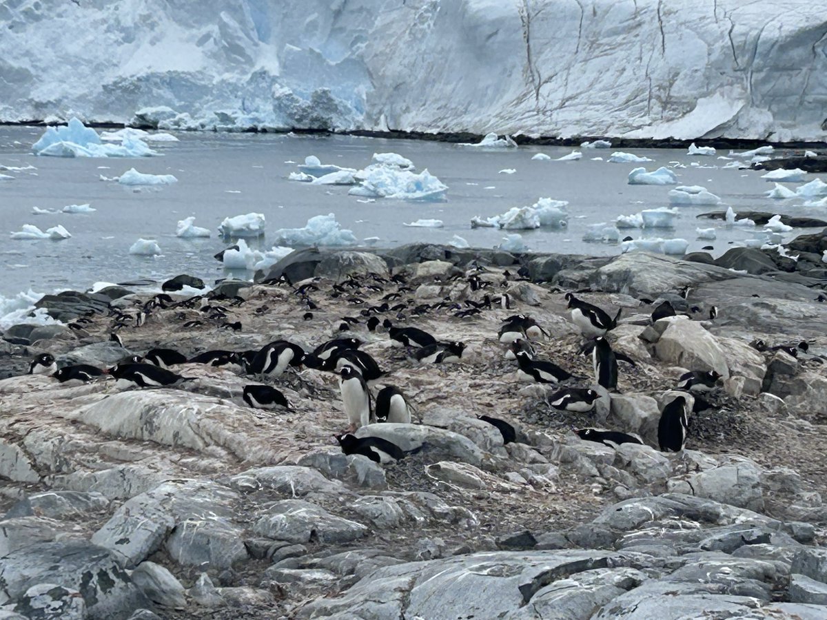 John A. Quelch tweet media