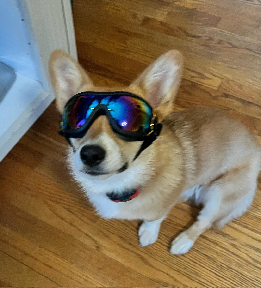 Jeff Hildebrand 29⚡️ tweet media