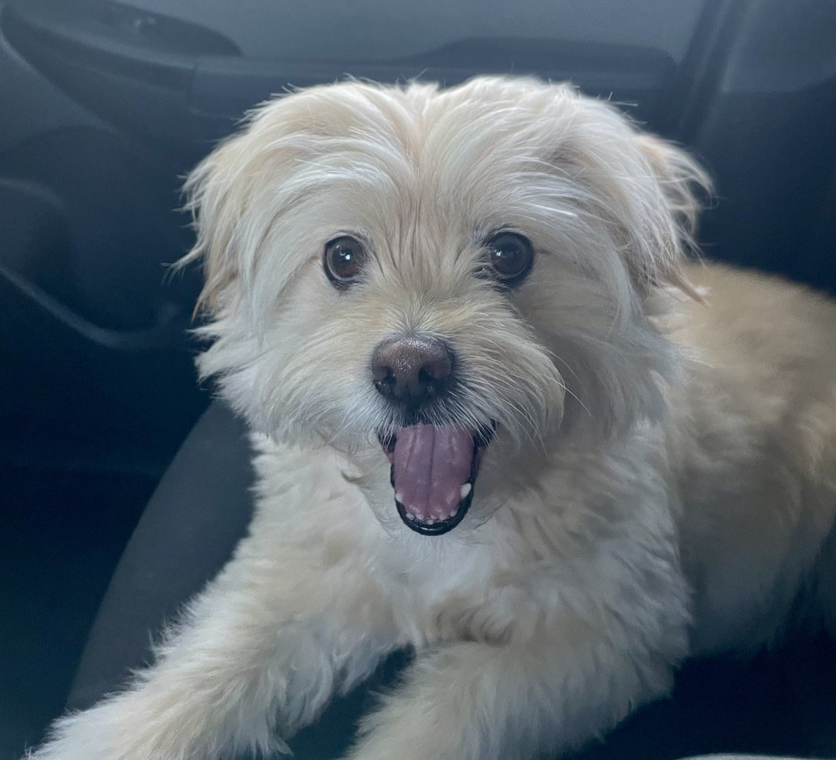 Clip City tweet media