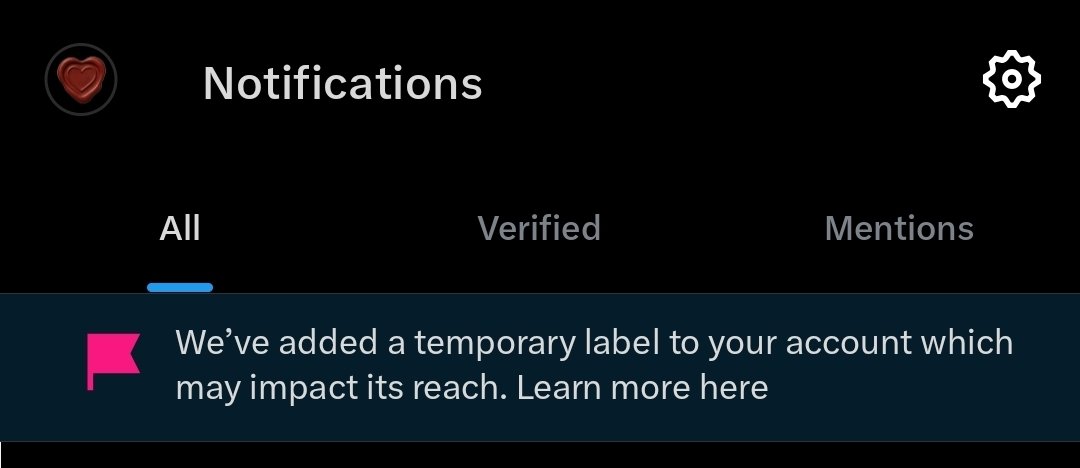 ݁ tweet media